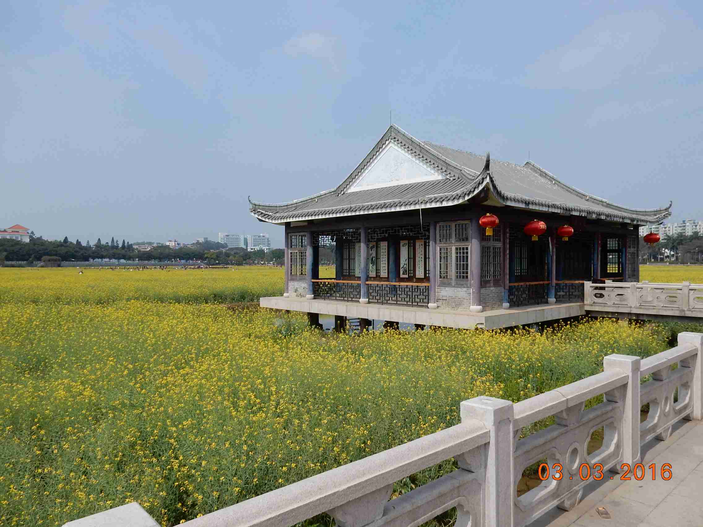 DSCN6030.JPG