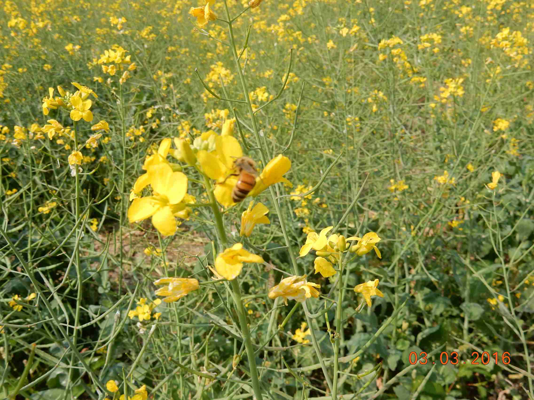 DSCN6035.JPG
