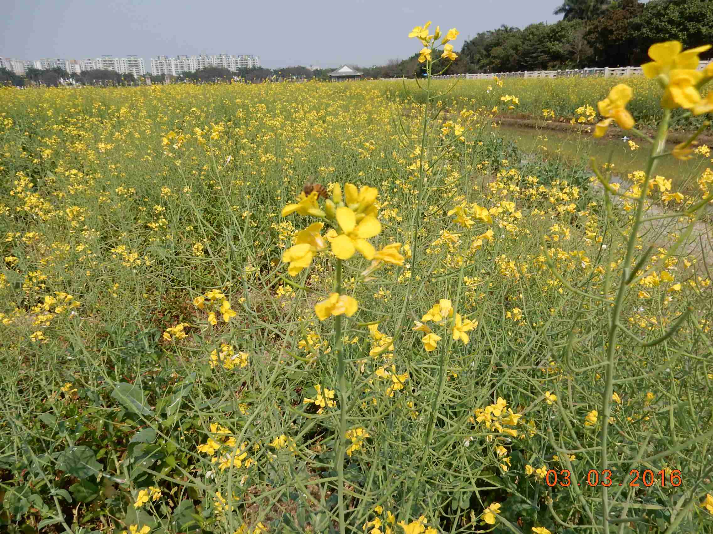 DSCN6034.JPG