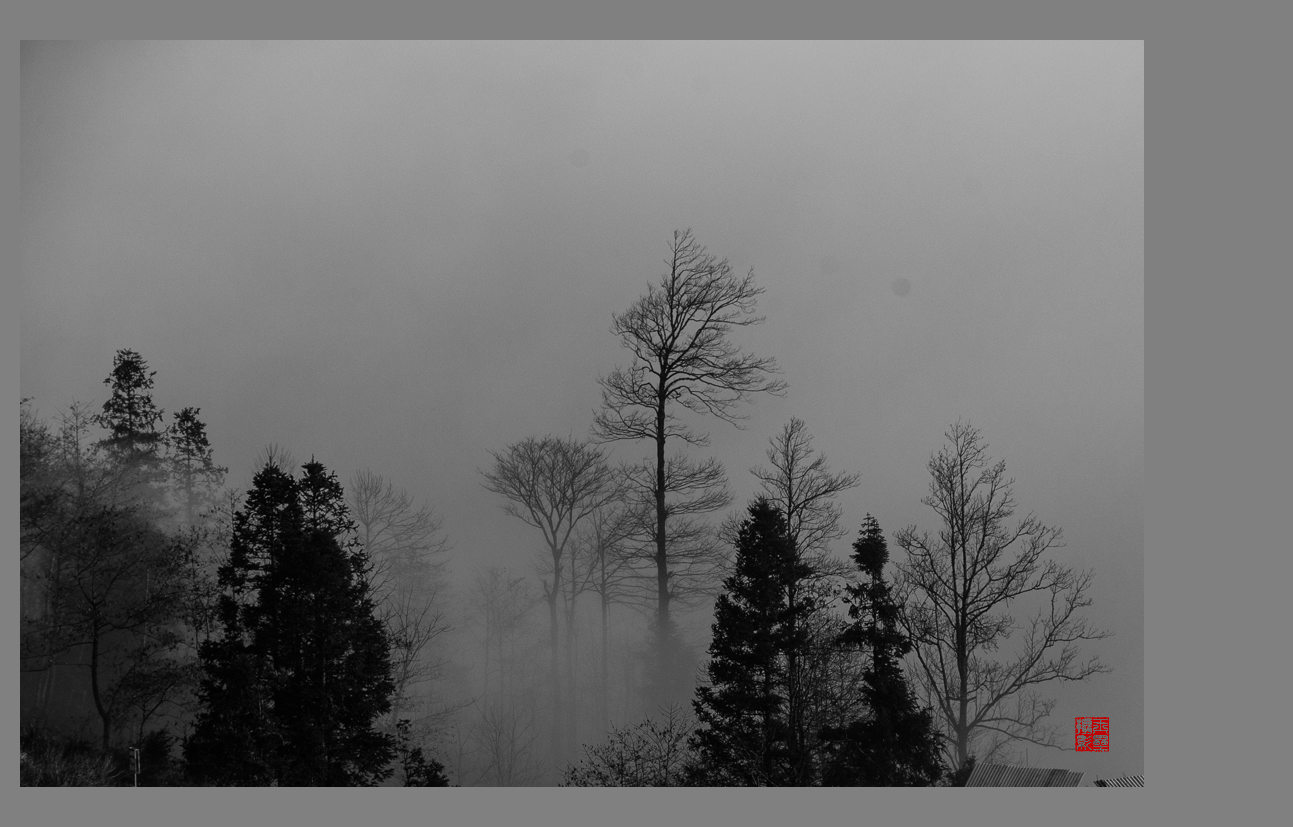_DSC0955.jpg