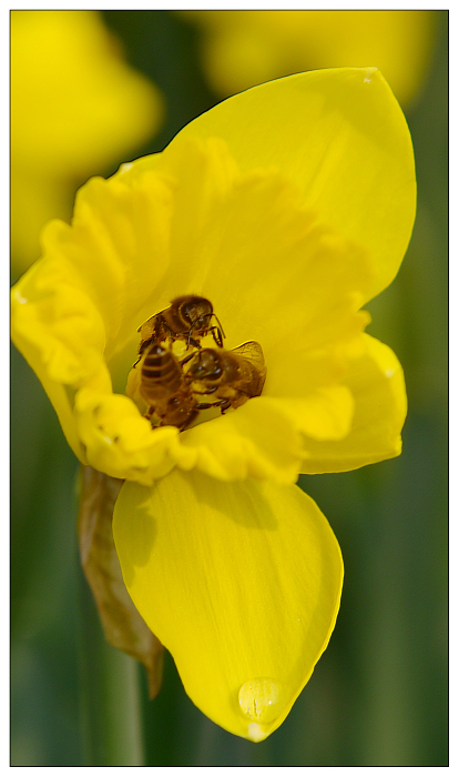 DSC_2247.jpg