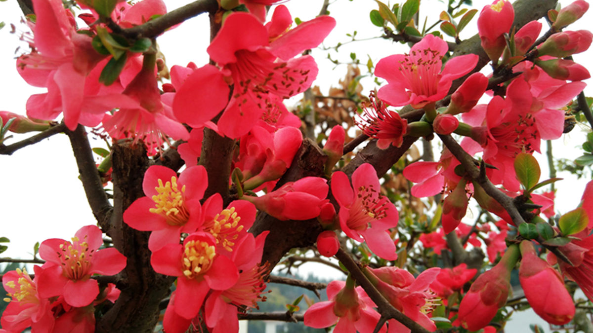 IMG_20160304_114300.jpg