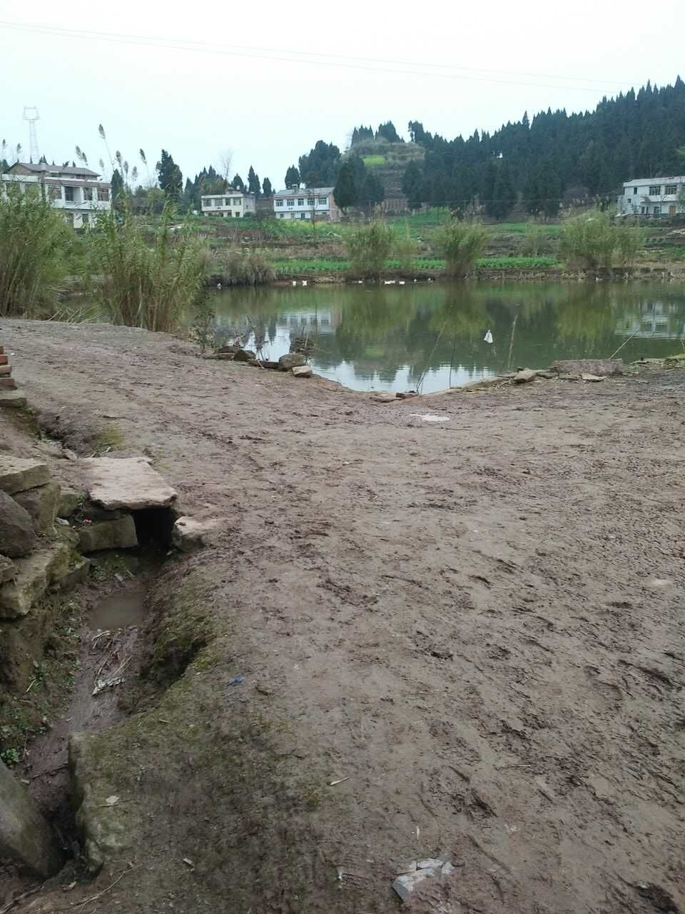 QQͼƬ20160226135500.jpg