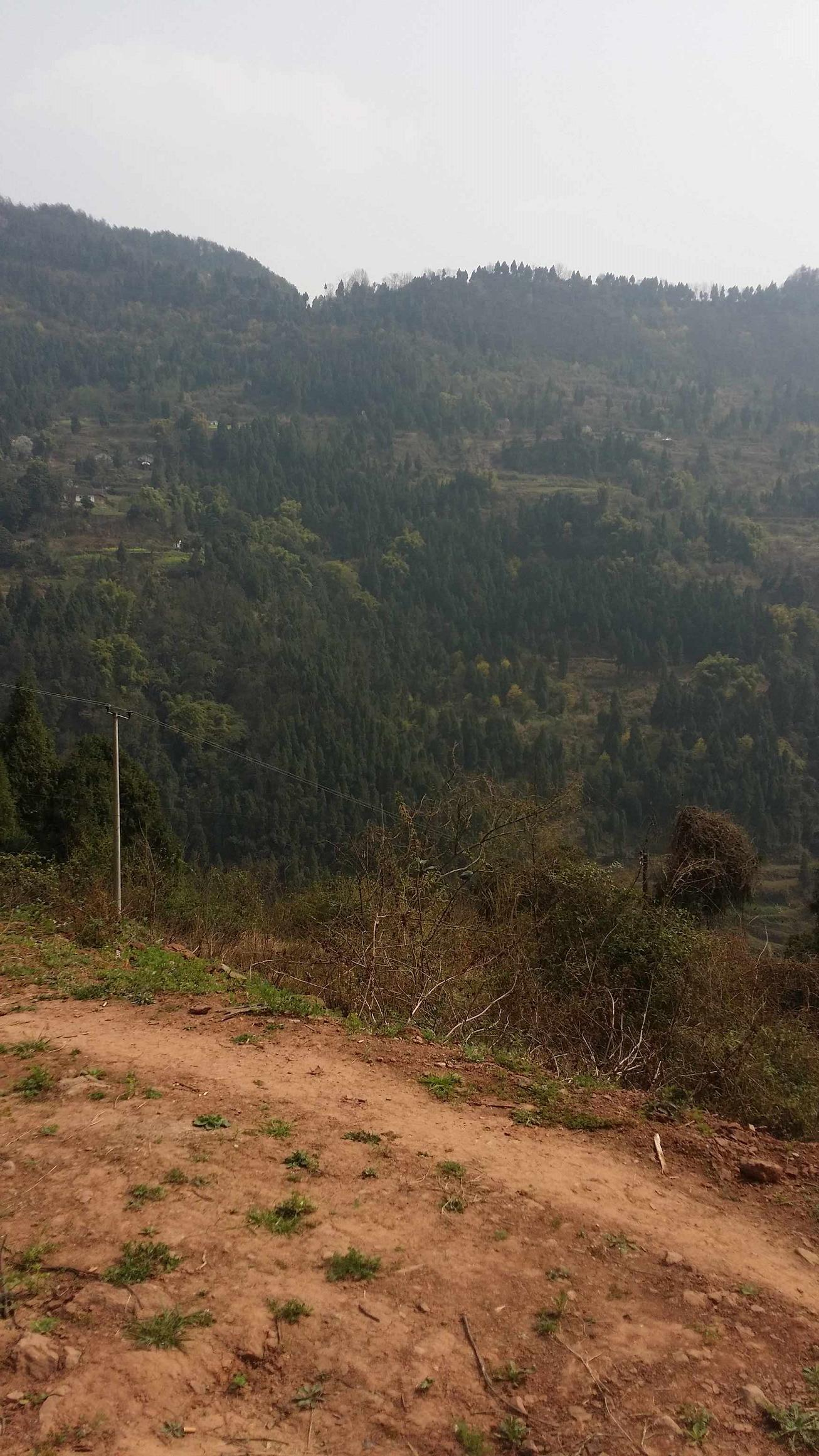 20160305_134014.jpg