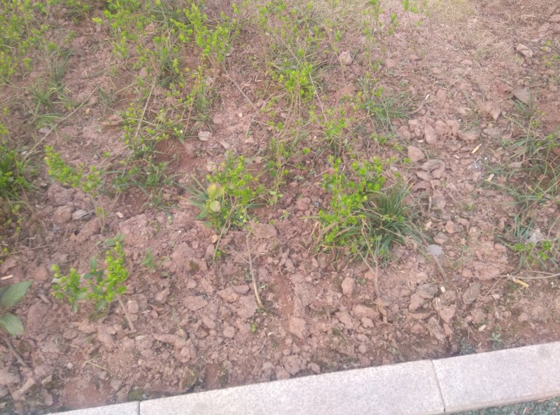 ½ļp60303-182422.jpg