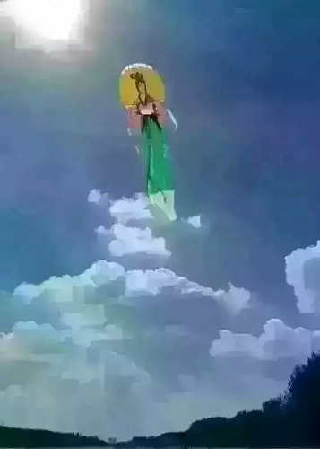 538676517.jpeg