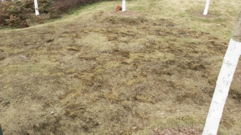 img_20160307_122554.jpg