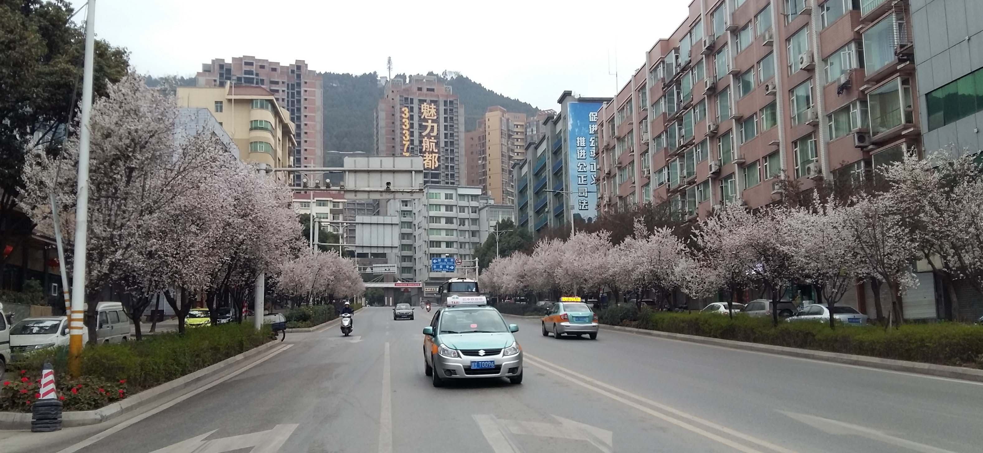 20160306_074436.jpg