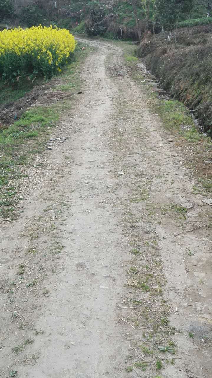 417160424974801584.jpg