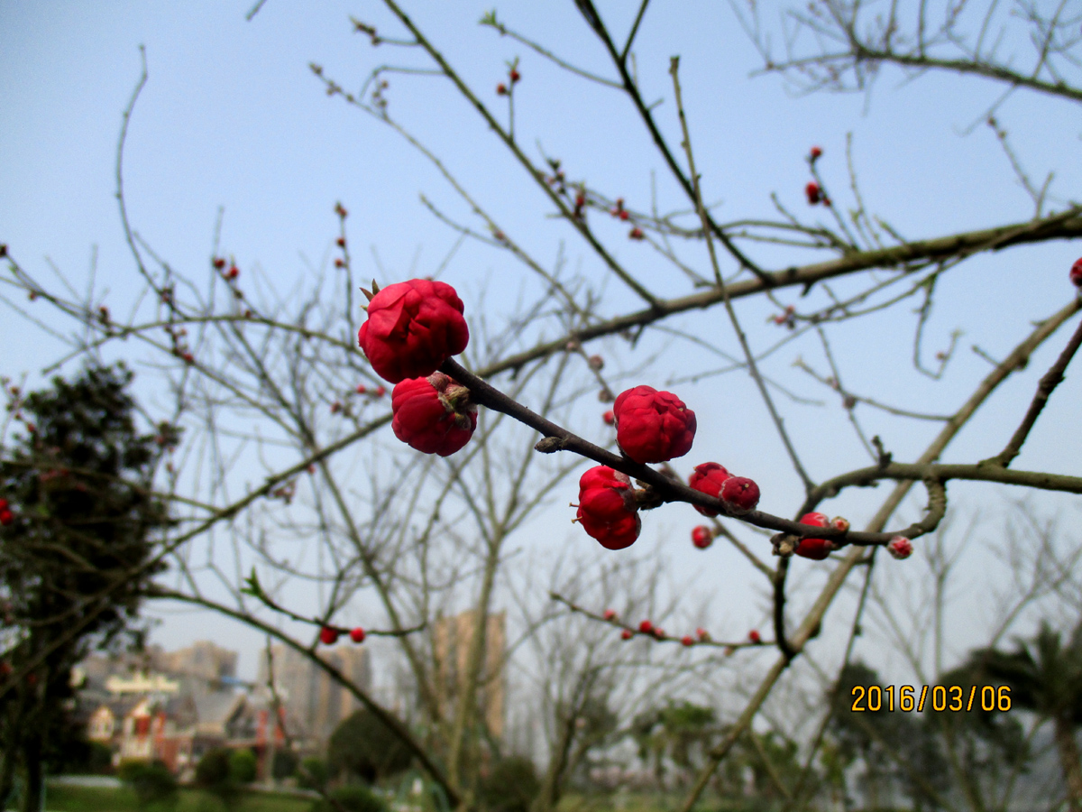 IMG_1270.jpg