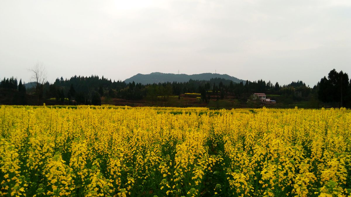 IMG_20160307_135510.jpg