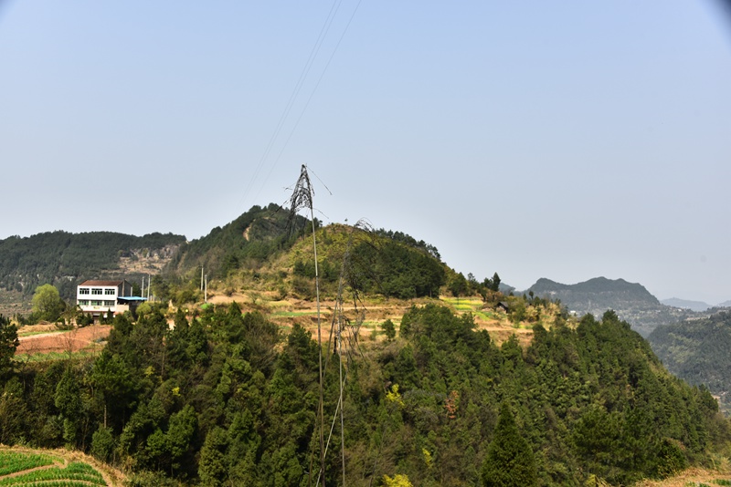 DSC_2948.jpg