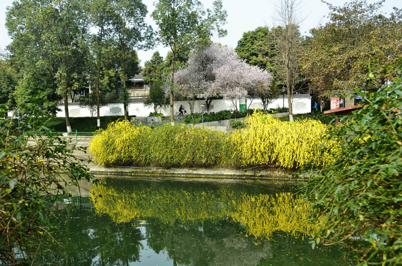 04.jpg