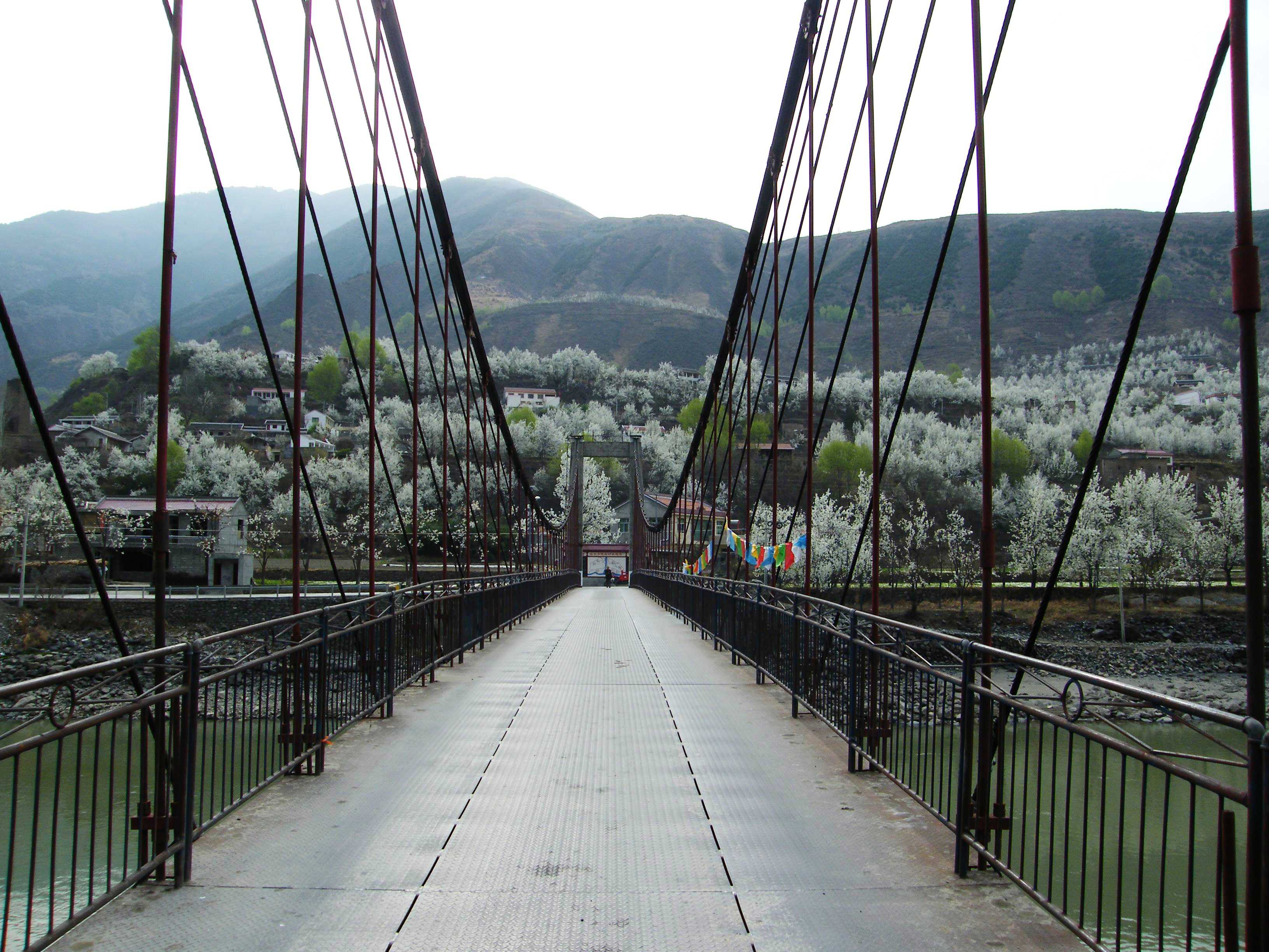 DSCF7560.jpg