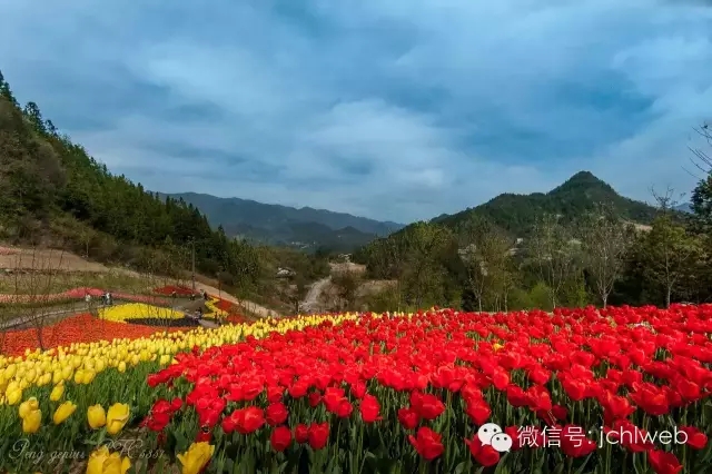 城口九重花岭图片