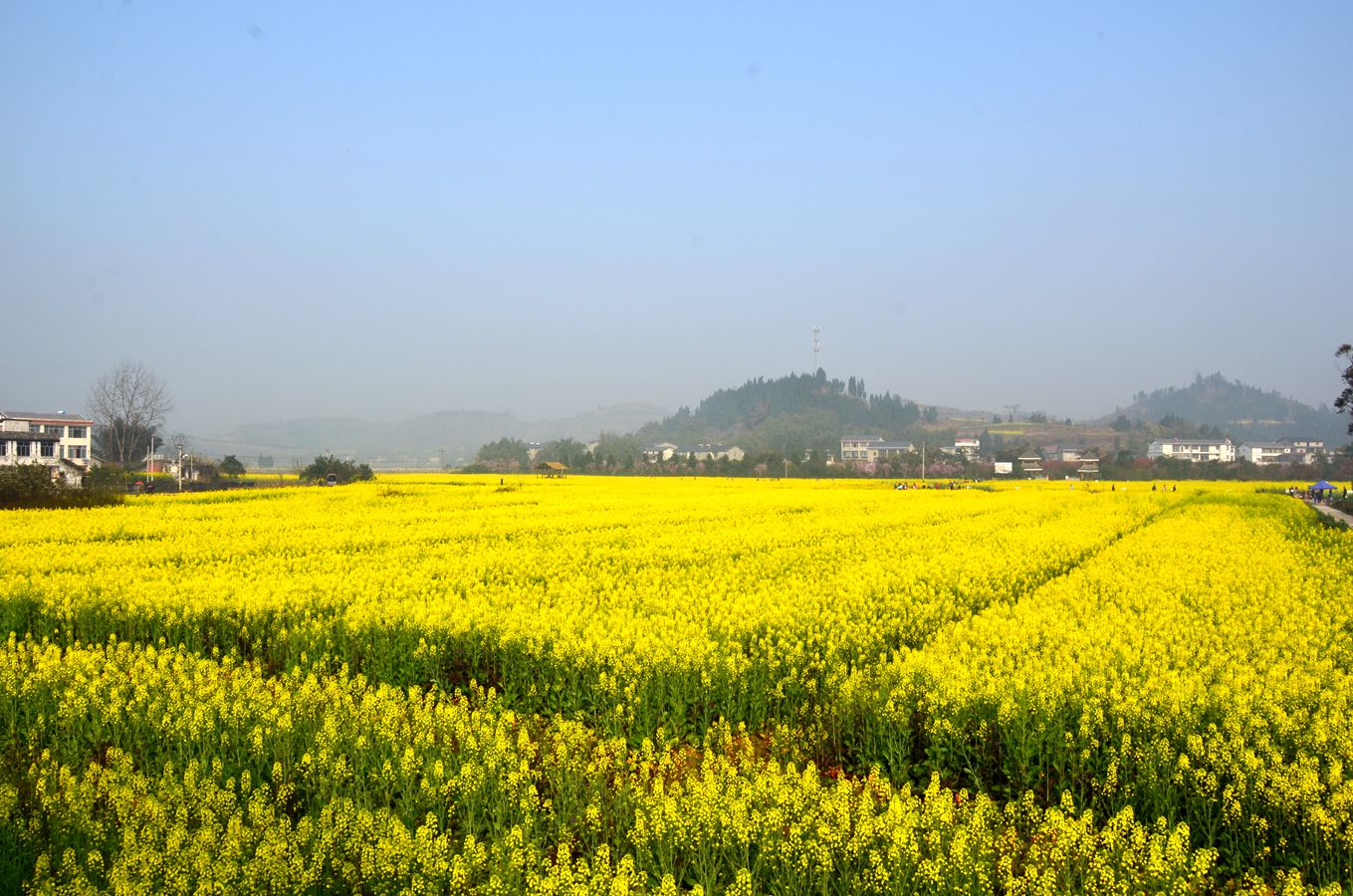 DSC_4841_.jpg
