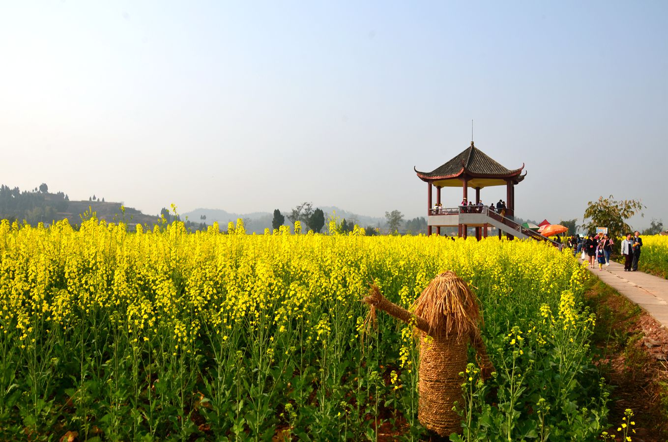 重庆潼南崇龛菜花节图片