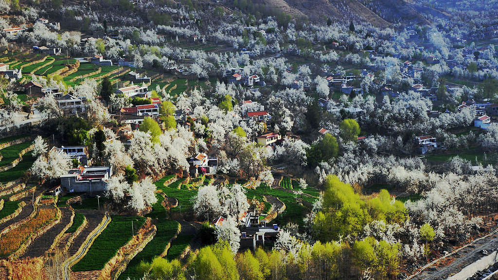 出发2016丹巴金川梨花节