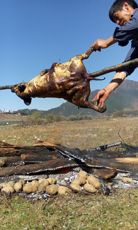 原生态的大凉山烤乳猪——流口水的场面