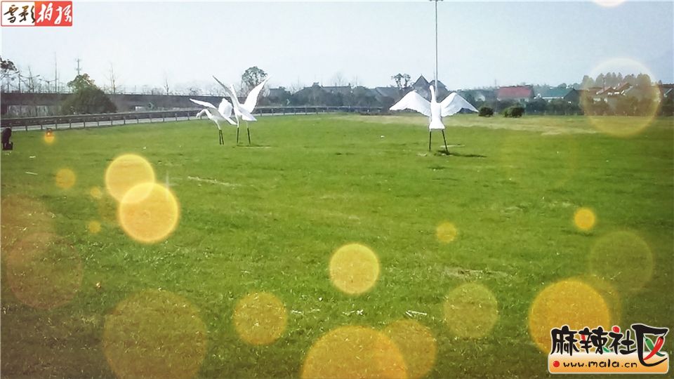 20160311_142143.jpg