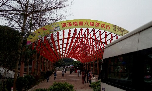 P60312-102042.jpg