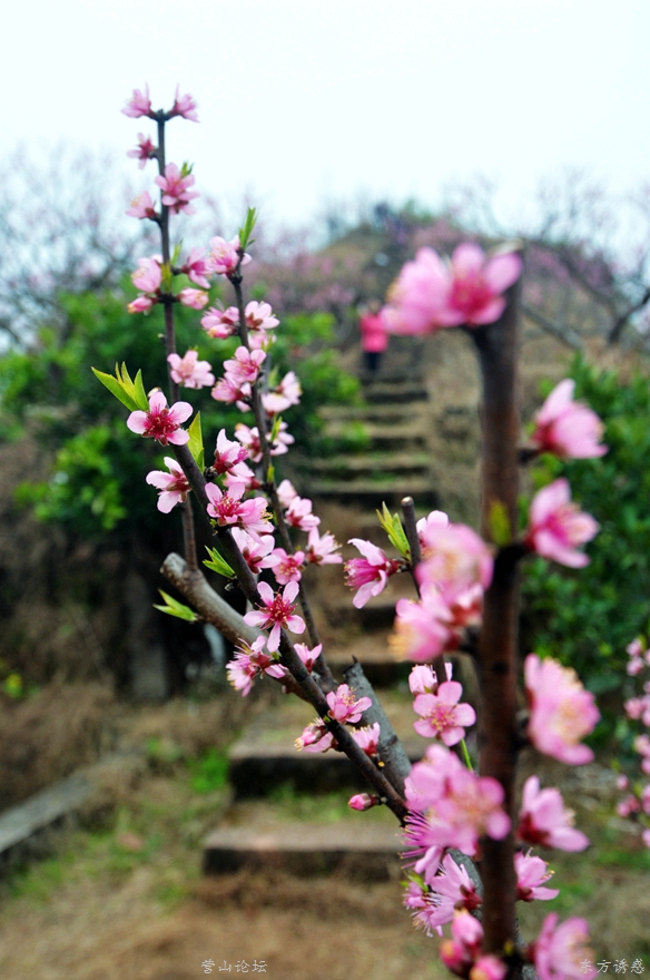 ĩ˾һ094.jpg