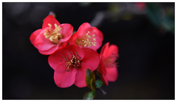 DSC_3718.jpg