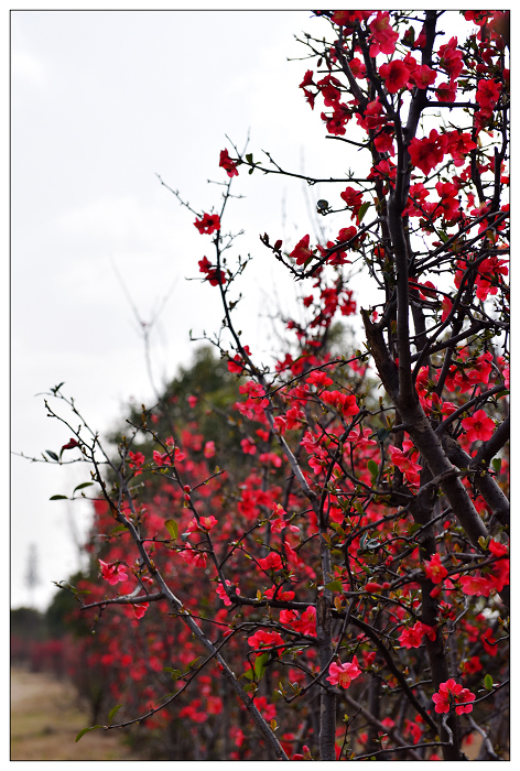 DSC_3724.jpg