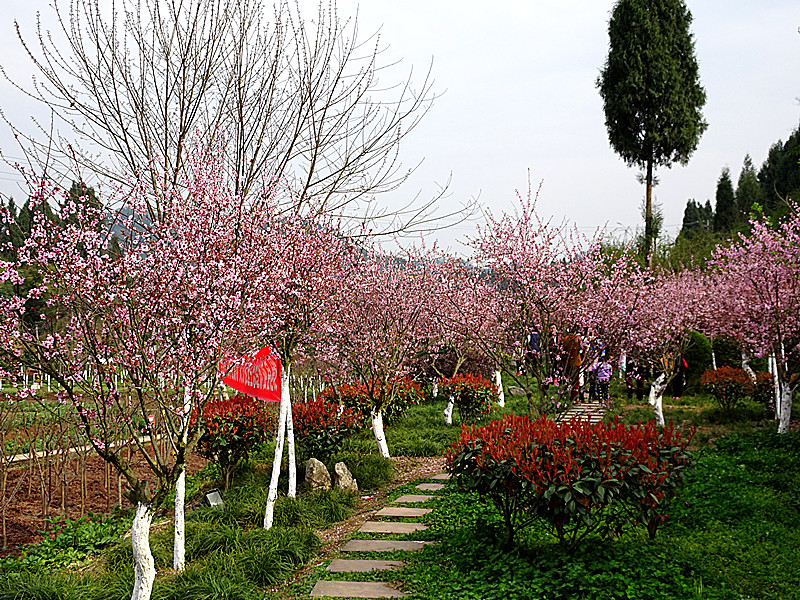 DSC02805_.jpg