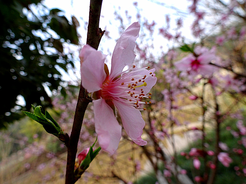 DSC02812_.jpg