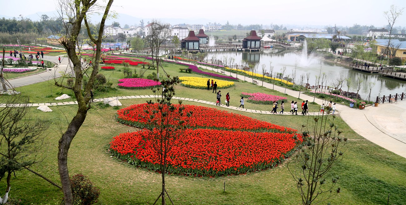 南充锦绣田园风景区图片