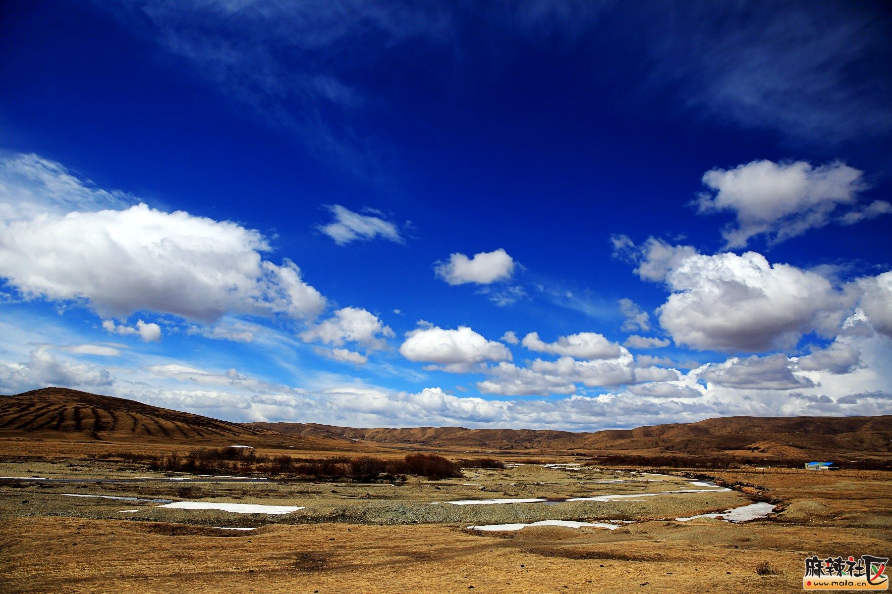 2N2A3948_conew1.jpg