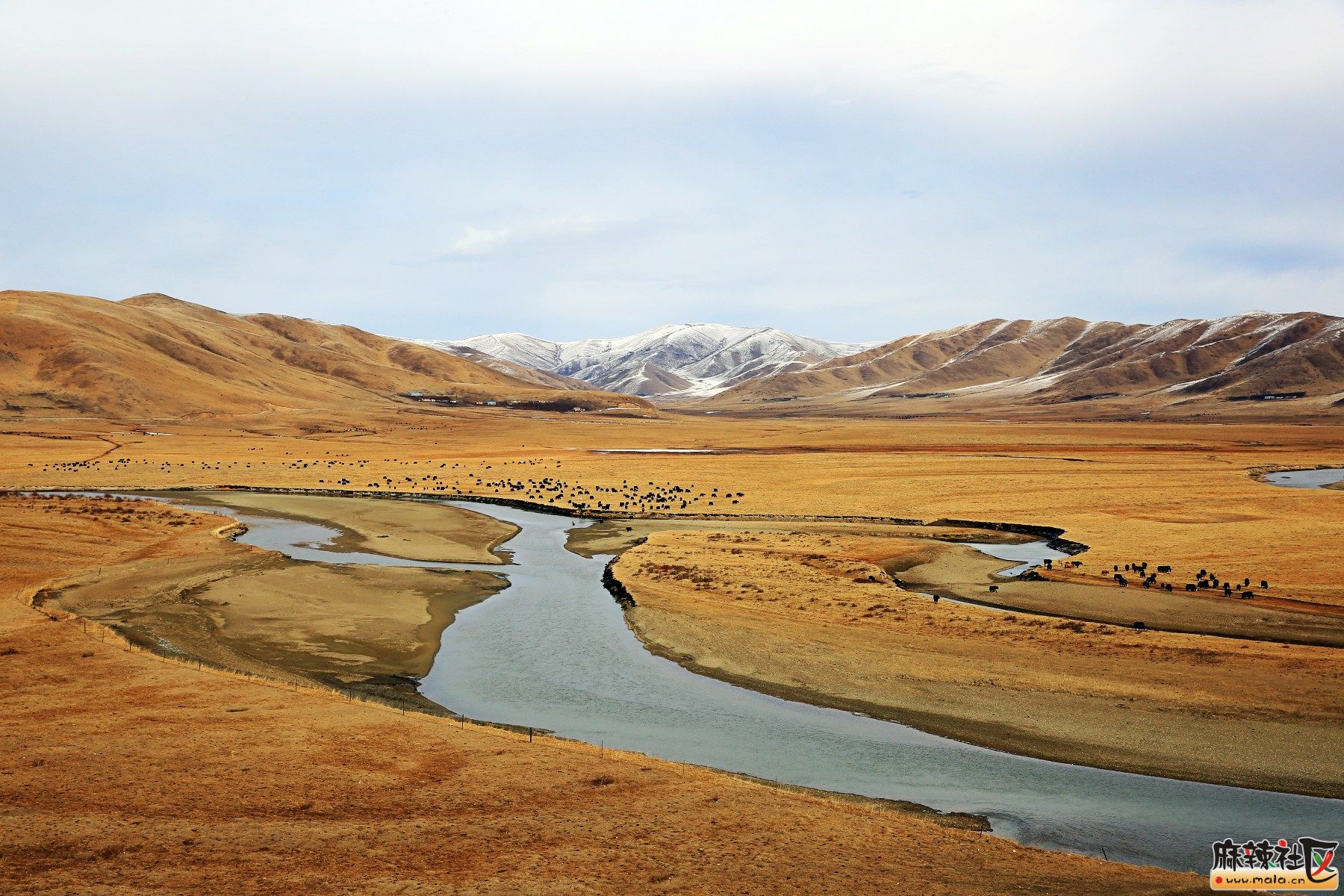 2N2A3767_conew1.jpg