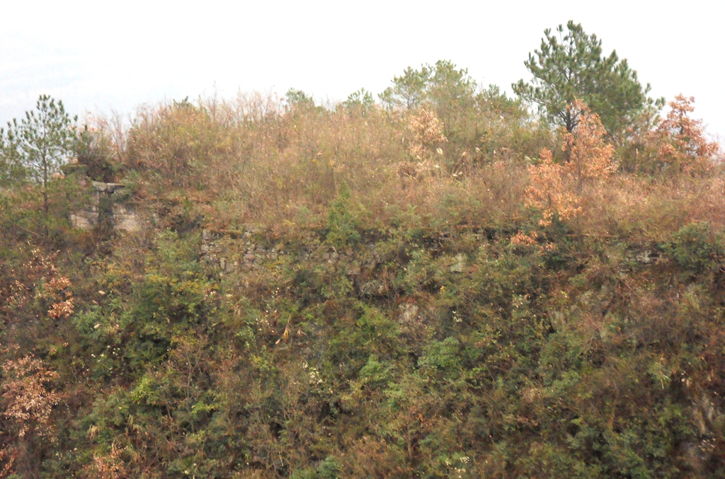SDC10736_.jpg