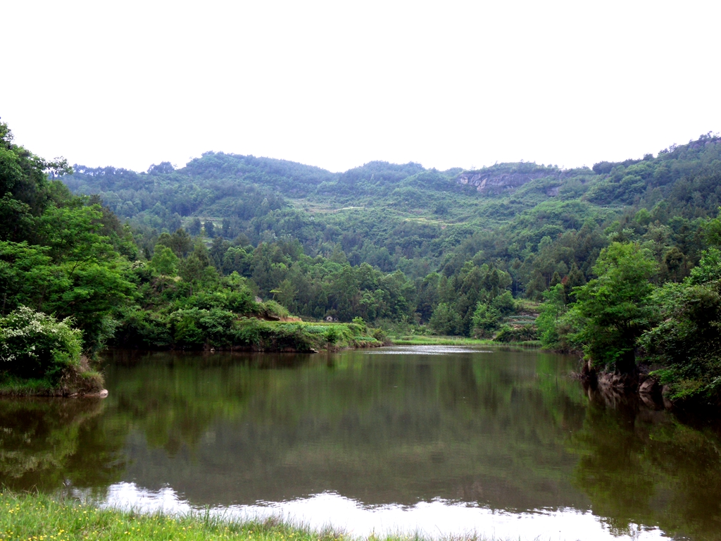 SDC13066_.jpg
