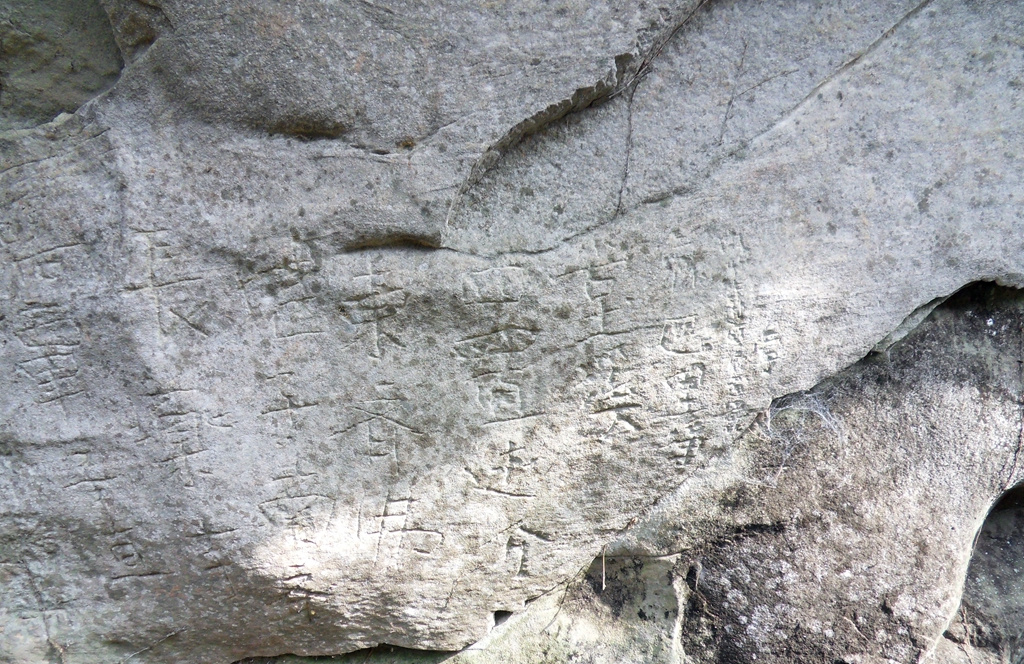 SDC11315_.jpg