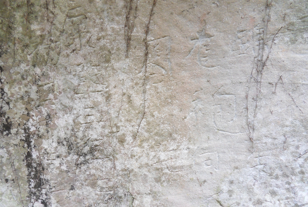 SDC11321_.jpg