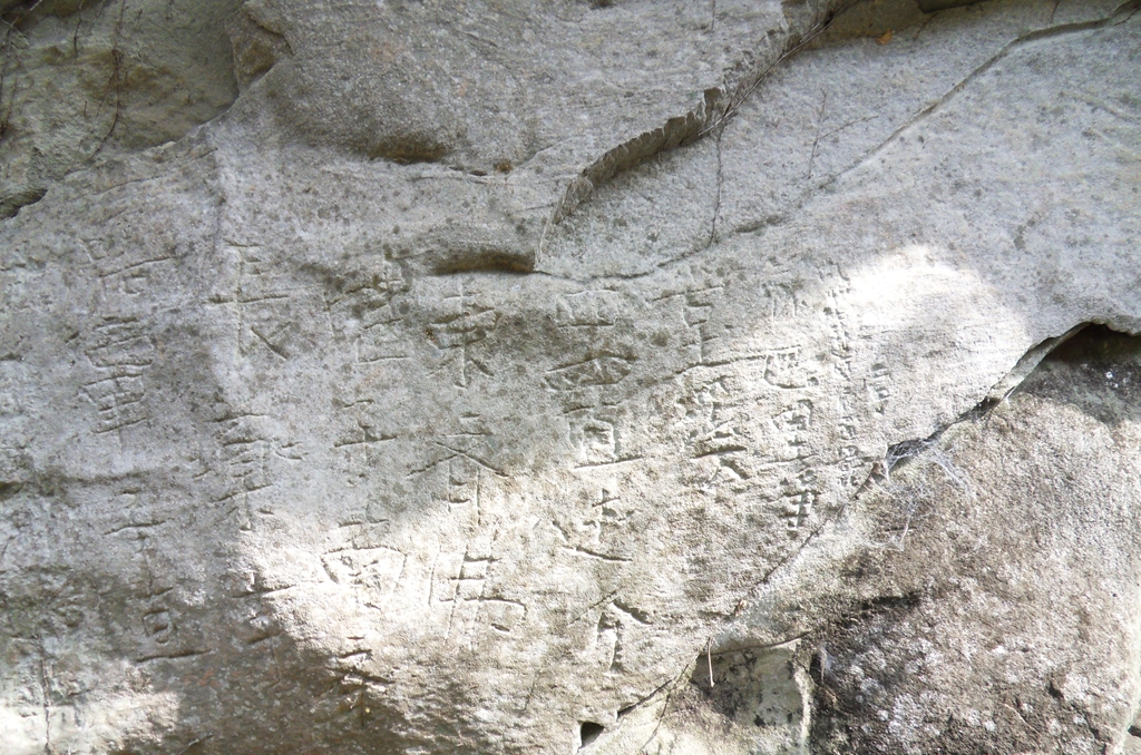 SDC11323_.jpg