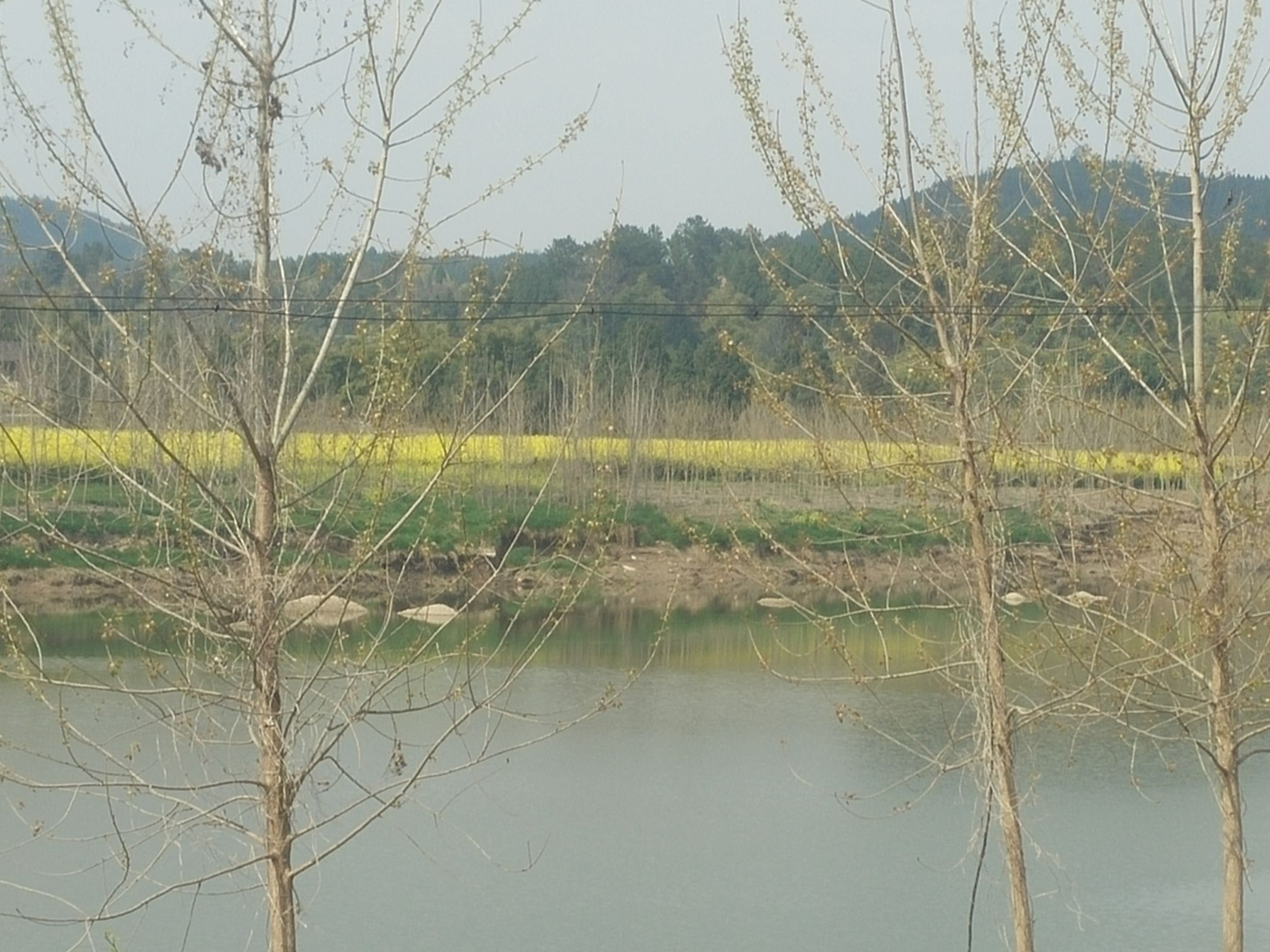 IMG20160317141503.jpg