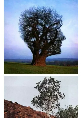 1458225120885.jpeg