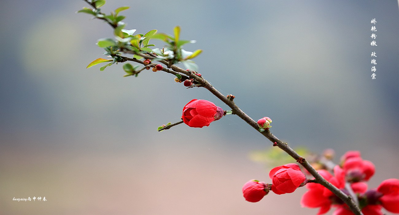 S98A5874_.jpg