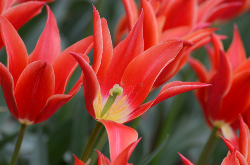 DSD_0662.JPG