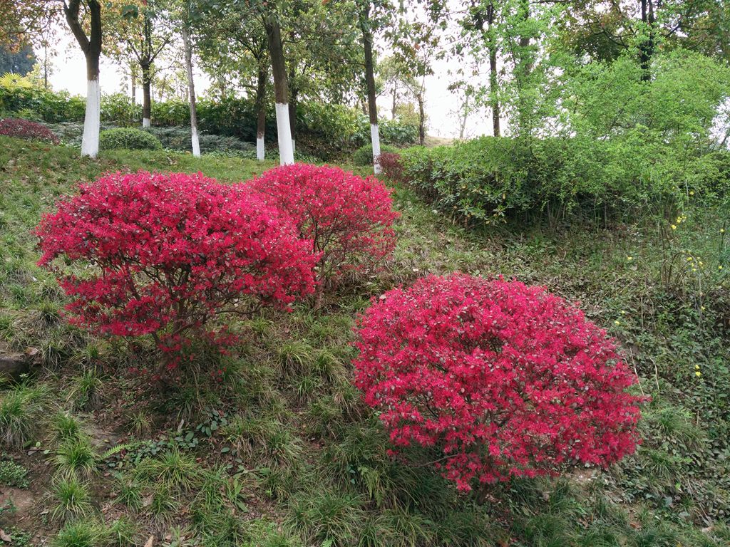 IMG_20160319_142335.jpg