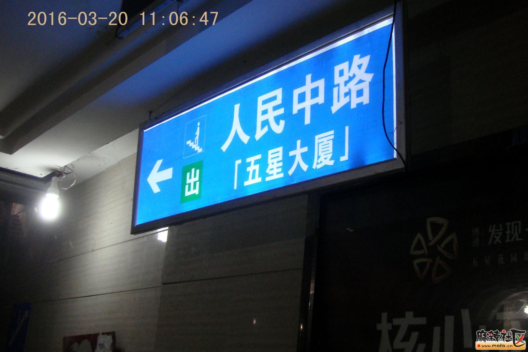 DSC04125_.jpg