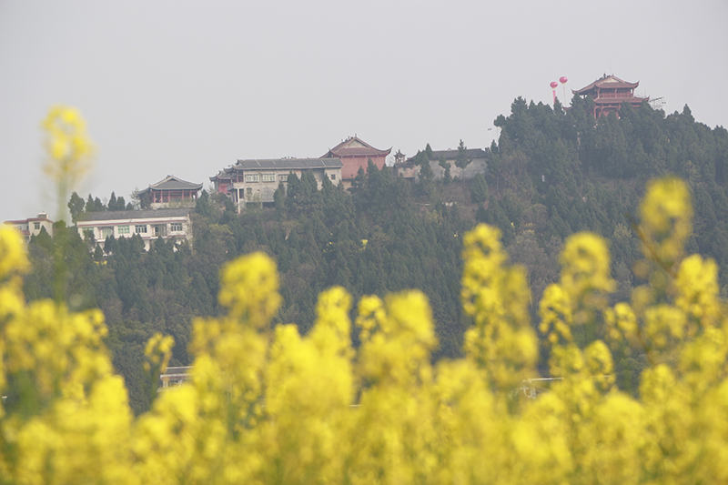_MG_2085.JPG