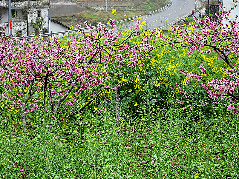 DSC03069_.jpg