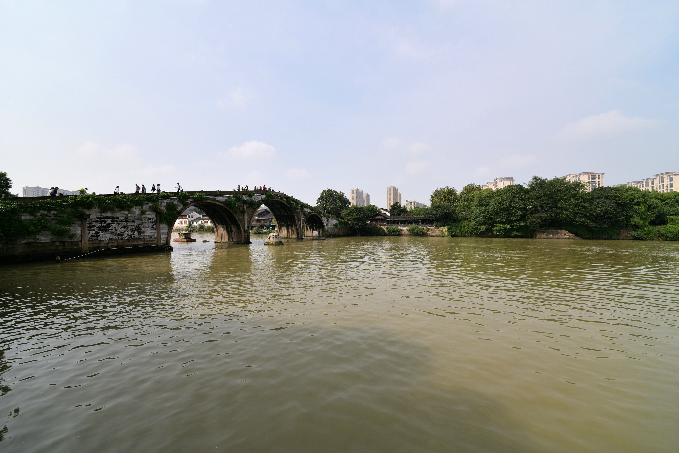 DSC_3386.JPG