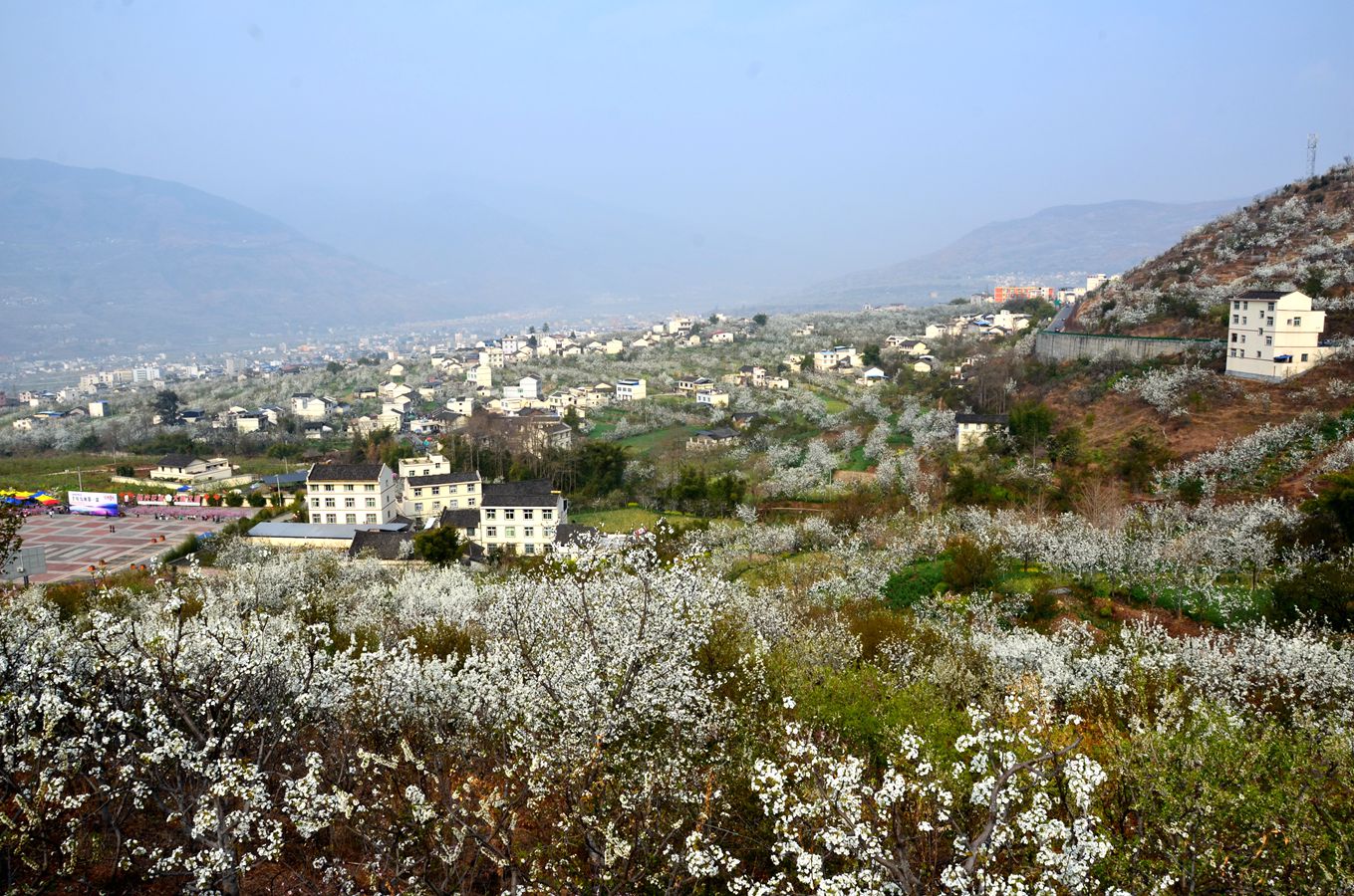 DSC_5198_.jpg