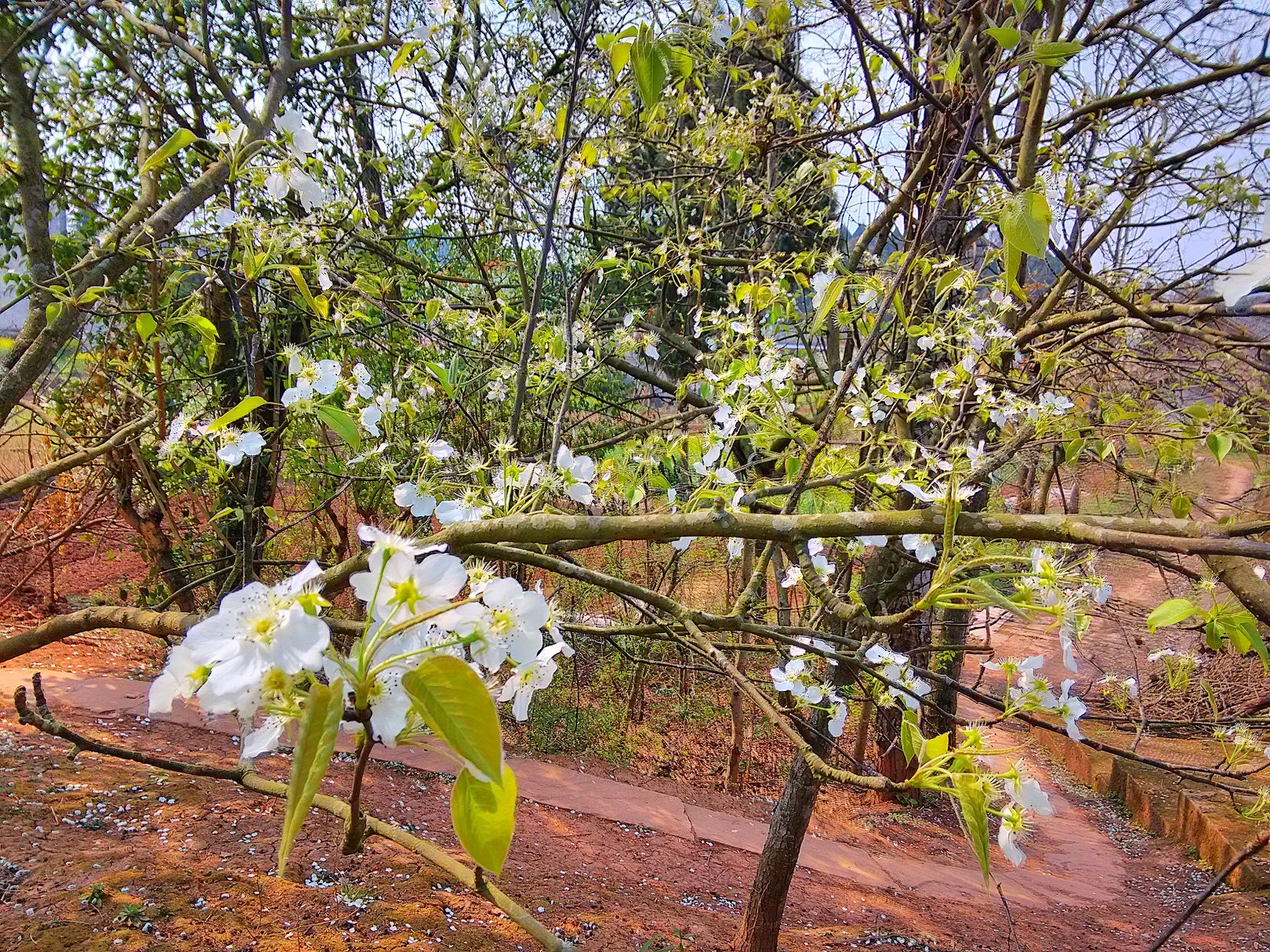 IMG_20160317_143613_HDR.jpg