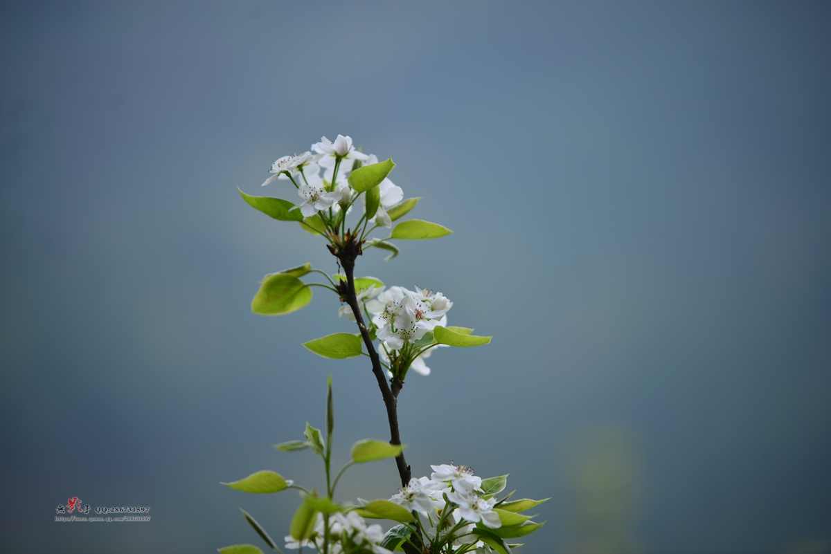 DSC_1715.jpg